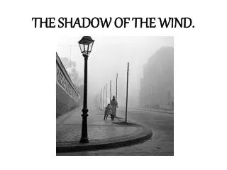 THE SHADOW OF THE WIND.