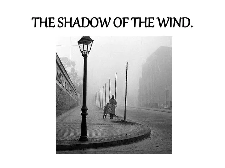 the shadow of the wind
