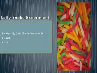 Lolly Snake Experiment