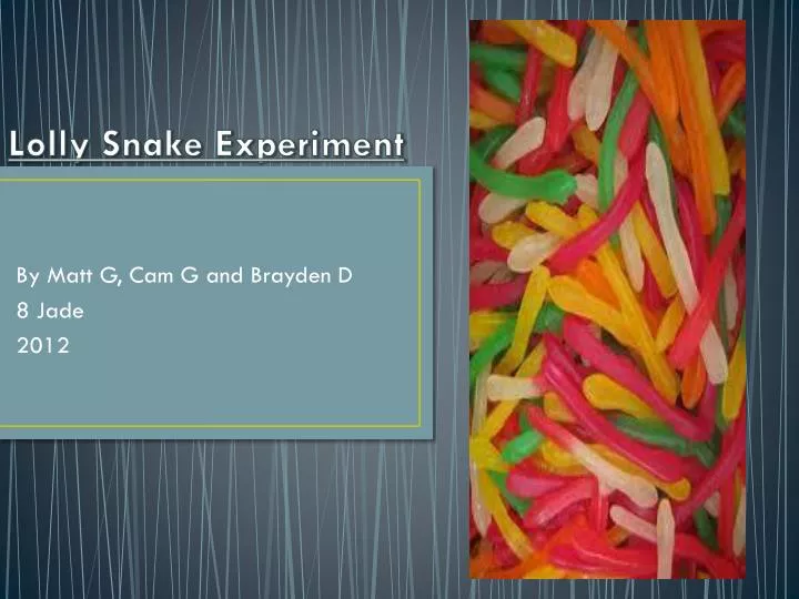 lolly snake experiment
