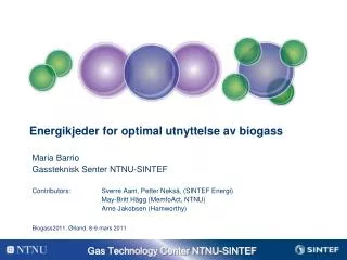 energikjeder for optimal utnyttelse av biogass