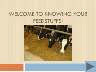 Welcome to Knowing Your Feedstuffs!