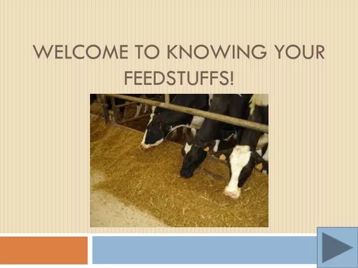welcome to knowing your feedstuffs