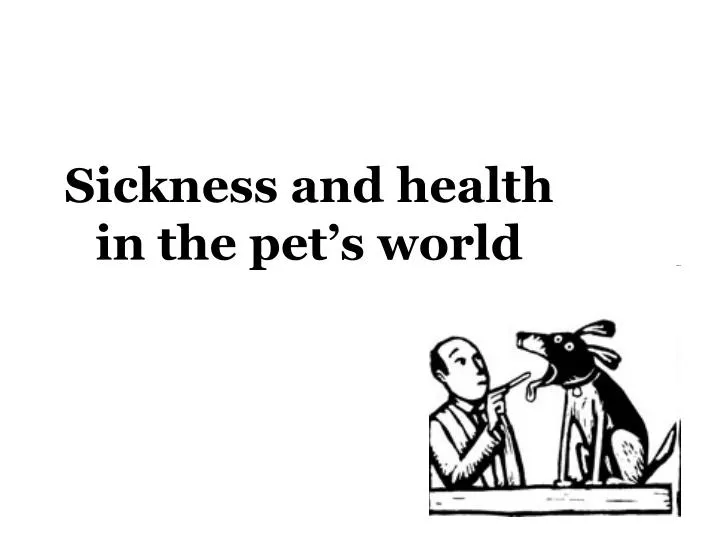 sickness and health in the pet s world