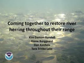 Coming together to restore river herring throughout their range