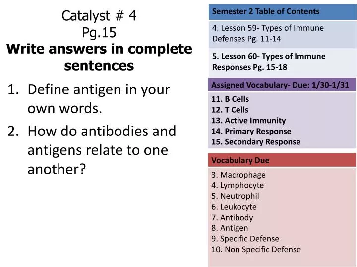 catalyst 4 pg 15 write answers in complete sentences