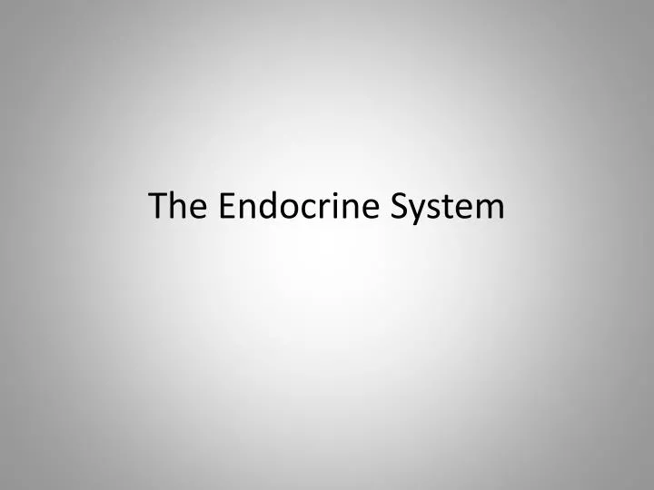 the endocrine system