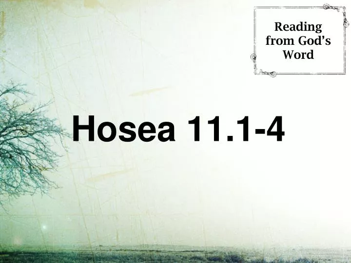 hosea 11 1 4