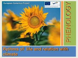 Rythms of life and relation with climate