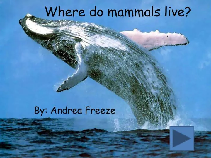 where do mammals live