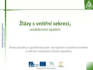 l zy s vnit n sekrec endokrinn syst m