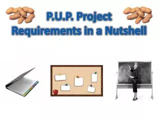P.U.P. Project Requirements in a Nutshell