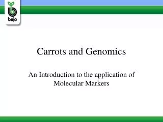 Carrots and Genomics