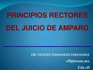 PRINCIPIOS RECTORES DEL JUICIO DE AMPARO DR . VICENTE FERNÁNDEZ FERNÁNDEZ vff@itesm.mx f/ dr.vff