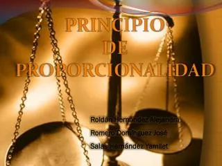 principio de proporcionalidad