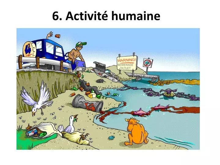 6 activit humaine
