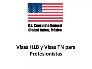 Visas H1B y Visas TN para Profesionistas