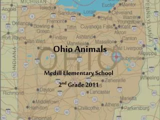 Ohio Animals