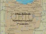 Ohio Animals - slide 1