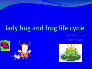 lady bug and frog life cycle