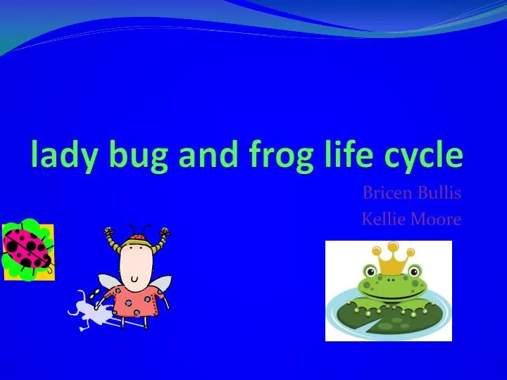 lady bug and frog life cycle