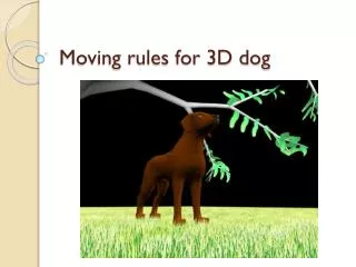 Moving rules for 3D dog