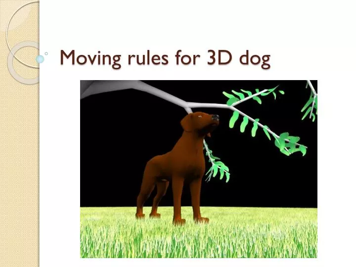moving rules for 3d dog