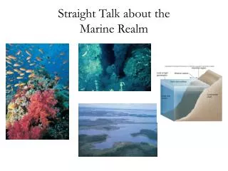 Straight Talk about the Marine Realm