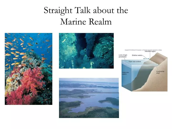 straight talk about the marine realm