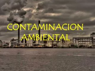 contaminacion ambiental