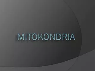mitokondria