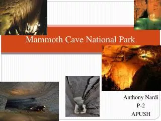 Mammoth Cave National Park