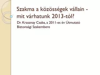 szakma a k z ss gek v llain mit v rhatunk 2013 t l