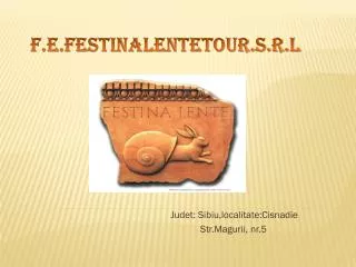 judet sibiu localitate cisnadie str magurii nr 5