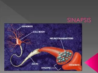 sinapsis