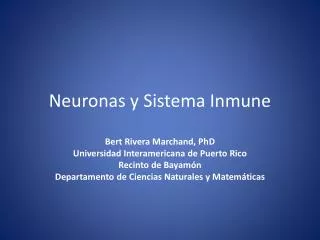 neuronas y sistema inmune