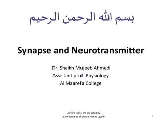 Synapse and Neurotransmitter