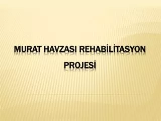 murat havzasi rehab l tasyon projes
