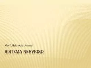 morfofisiolog a animal