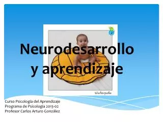 neurodesarrollo y aprendizaje