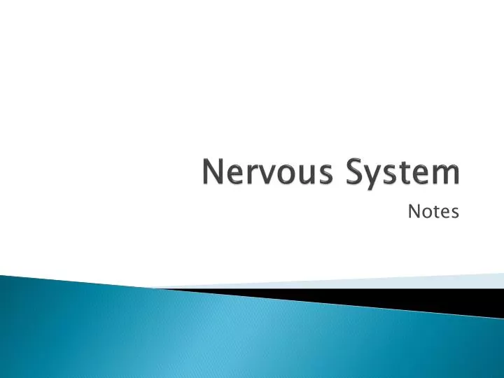 nervous system