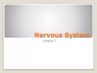 Nervous System