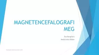 magnetencefalografi meg