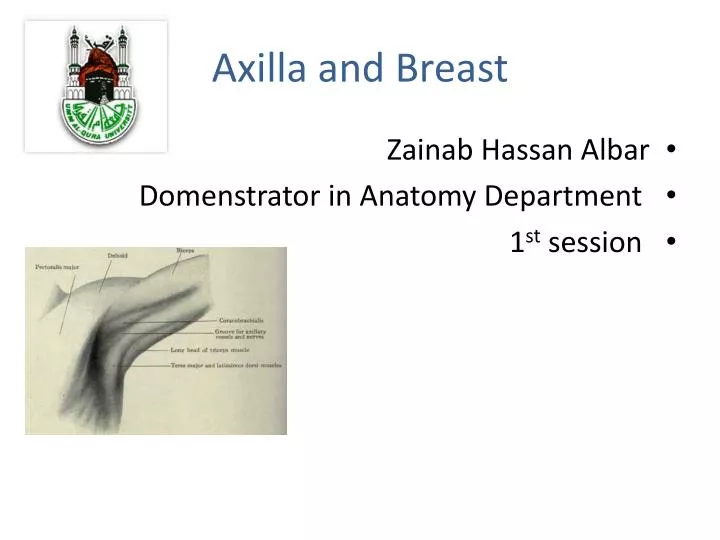 axilla and breast
