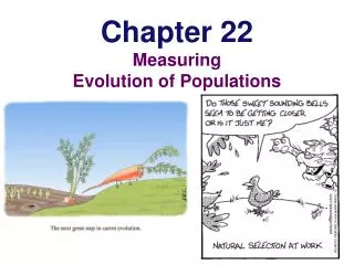 Chapter 22 Measuring Evolution of Populations
