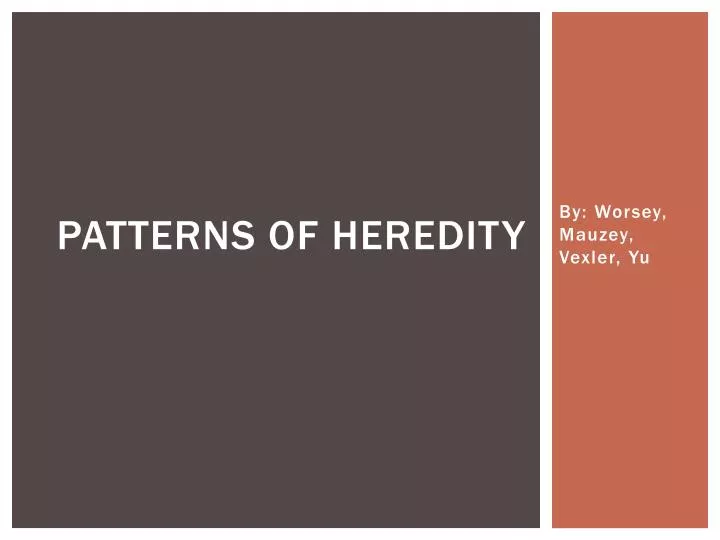 patterns of heredity
