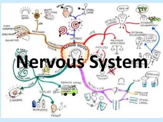 Nervous System