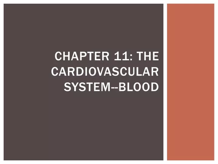 chapter 11 the cardiovascular system blood