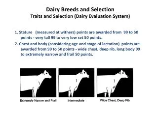 Dairy Breeds and Selection Traits and Selection (Dairy Evaluation System)
