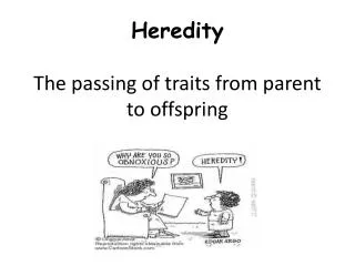Heredity The passing of traits from parent to offspring